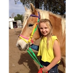 Rainbow ENGLISH BRIDLE with CAVESSON made from BETA BIOTHANE (5 Colors Mix N Match)