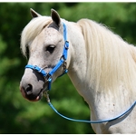 MINI HORSE SIZE Buckle Nose Halter made from BETA BIOTHANE