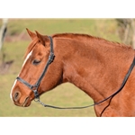 HORSE SIZE Grooming Halter made from BETA BIOTHANE