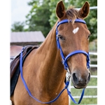 Royal Blue  Bridle made from Beta Biothane