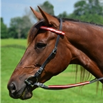 red REFLECTIVE Quick Change Halter Bridle with Snap on Browband