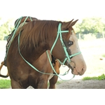 Mint/Seafoam Green Bridle made from Beta Biothane