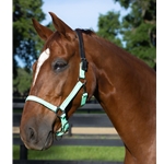 Mint/Seafoam Green Beta Biothane Halter - Any Size, Any Style