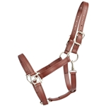 Buy A Mahogany/Reddish Brown Beta Biothane Halter at Two Horse Tack