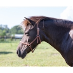 Medium Brown Buy An Beta Biothane Halter at Two Horse Tack