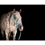 Baby Blue Beta Biothane Bridle - You Choose The Size/Style