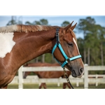 Baby Blue Beta Biothane Halter - Any Size, Any Style