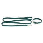 Hunter/Dark Green Beta Biothane Dog Collar - Any Size