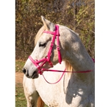 Bubblegum Pink Beta Biothane Bridle - You Choose The Size/Style