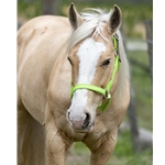 Apple Green Beta Biothane Halter - Any Size, Any Style