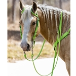 Apple Green Beta Biothane Bridle - You Choose The Size/Style