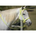 Safety Yellow/Neon Beta Biothane Bridle - You Choose The Size/Style