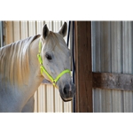 Safety Yellow/Neon Beta Biothane Halter - Any Size, Any Style