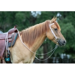 Lavender Beta Biothane Reins - Any Style, Any Length