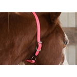 Hot/Neon Pink Beta Biothane Horse Neck Collar - Any Size, Any Style