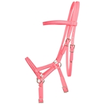 Hot/Neon Pink Beta Biothane Bridle - You Choose The Size/Style