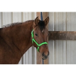 Lime/Neon Green Beta Biothane Halter - Any Size, Any Style