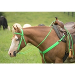 Lime/Neon Green Beta Biothane Bridle - You Choose The Size/Style