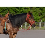 Red Beta Biothane Bridle - You Choose The Size/Style