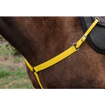 Sunflower Yellow Beta Biothane Breast Collar - You Choose the Size/Style