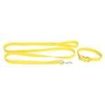 Sunflower Yellow Beta Biothane Dog Collar - Any Size