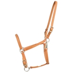 Tan/Light Brown Beta Biothane Halter - Any Size, Any Style