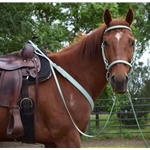 Sage Green Beta Biothane Bridle - You Choose The Size/Style