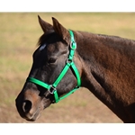 Kelly/Emerald Green Beta Biothane Halter - Any Size, Any Style