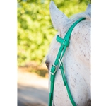 Kelly/Emerald Green Beta Biothane Bridle - You Choose The Size/Style