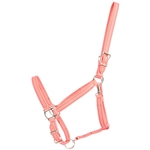 Coral/Peach Pink Beta Biothane Halter - Any Size, Any Style