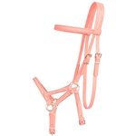 Coral/Peach Pink Beta Biothane Bridle - You Choose The Size/Style