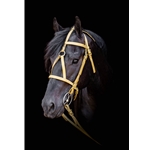 Gold Beta Biothane Bridle - You Choose The Size/Style