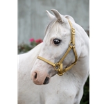 Gold Beta Biothane Halter - Any Size, Any Style