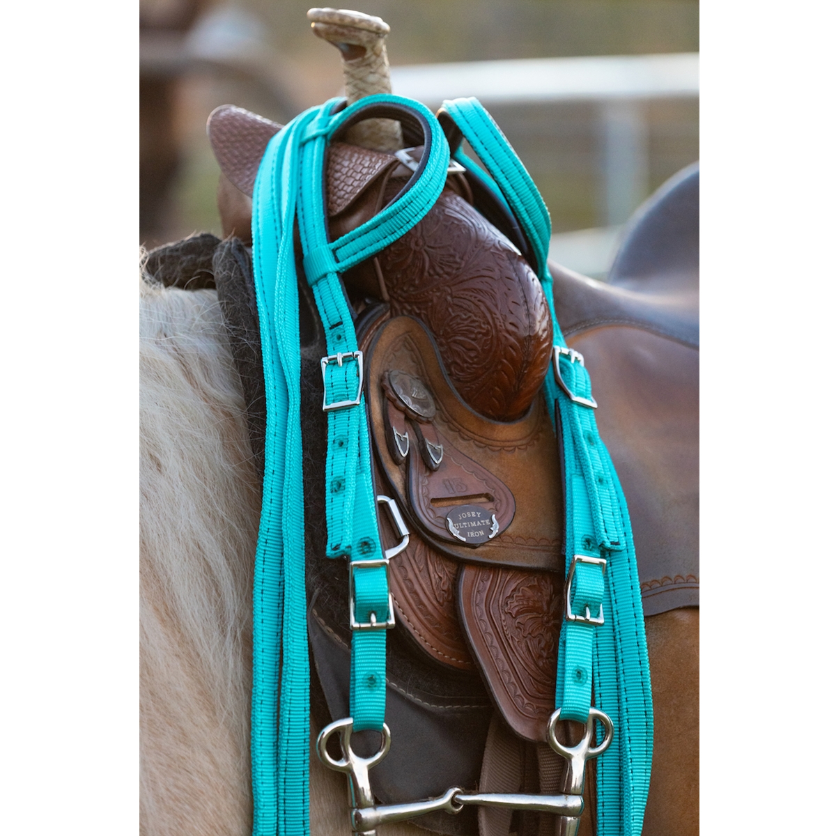 One or Two Split Ear Western Bridle Made From Nylon – Two Horse Tack