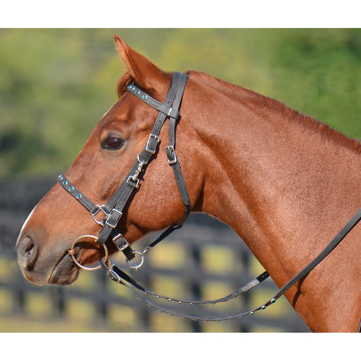Two Horse Tack - Halter Bridle with Bit Hangers