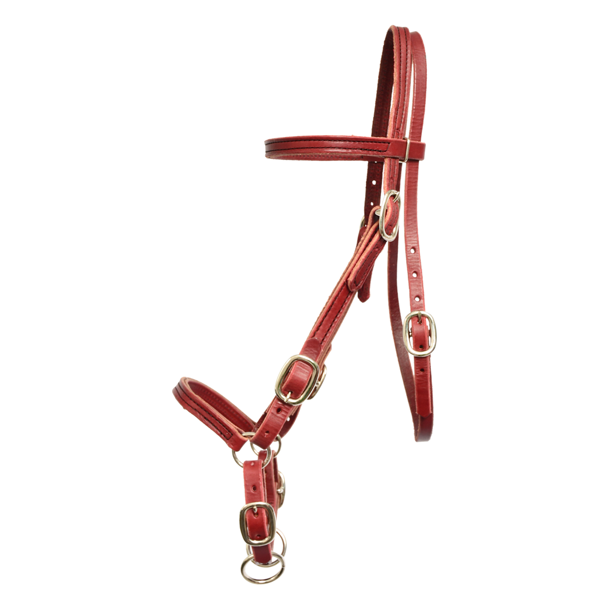 Buy 2 in 1 Bitless Bridle Made from Leather From Two Horse Tack