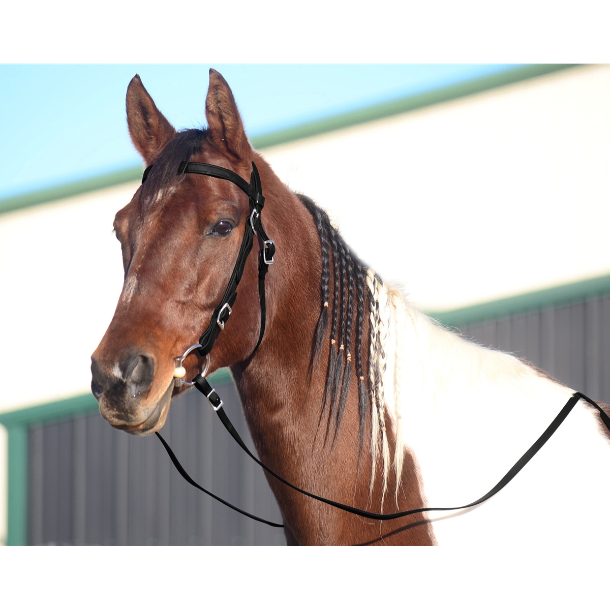 Black Western Bridle Full Browband Made From Beta