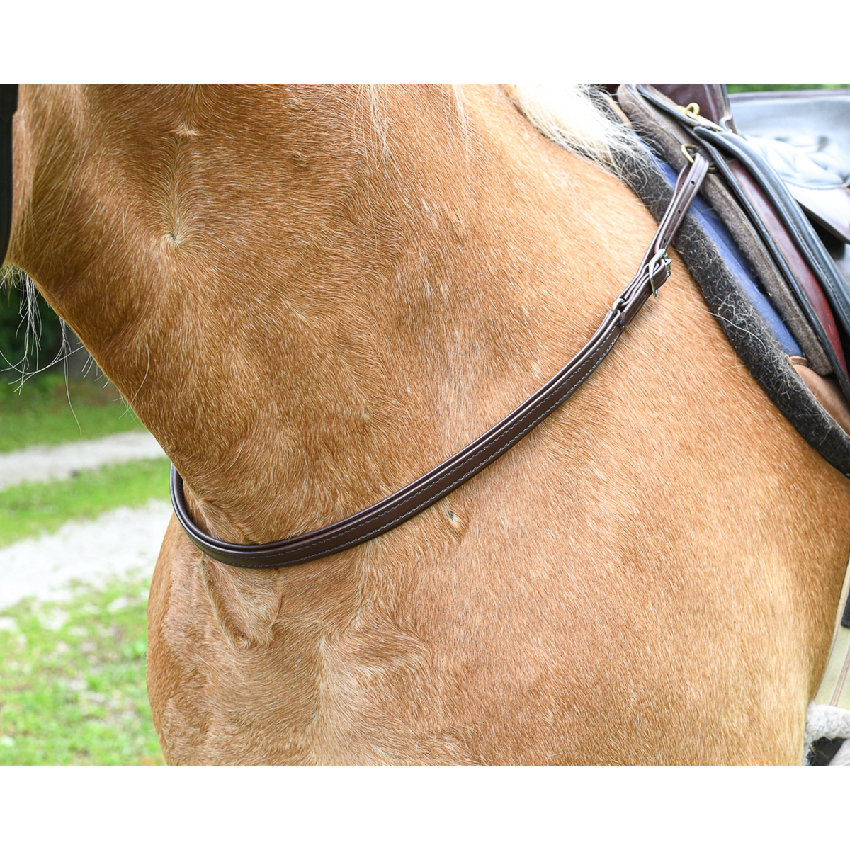 English Bridle/Harness Leather Straps, 1.5