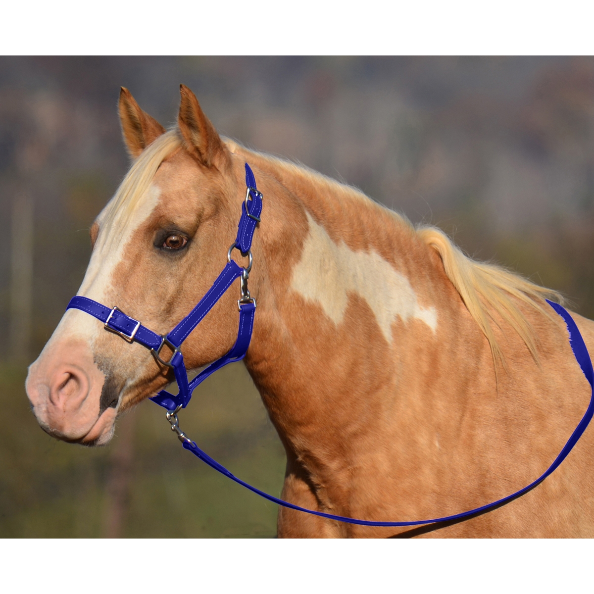 Rope Halters  Rope Halters made in the USA!