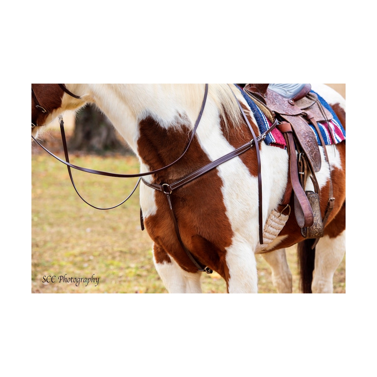 Order Orange Halter Bridle with Bit Hangers Only at Two Horse Tack