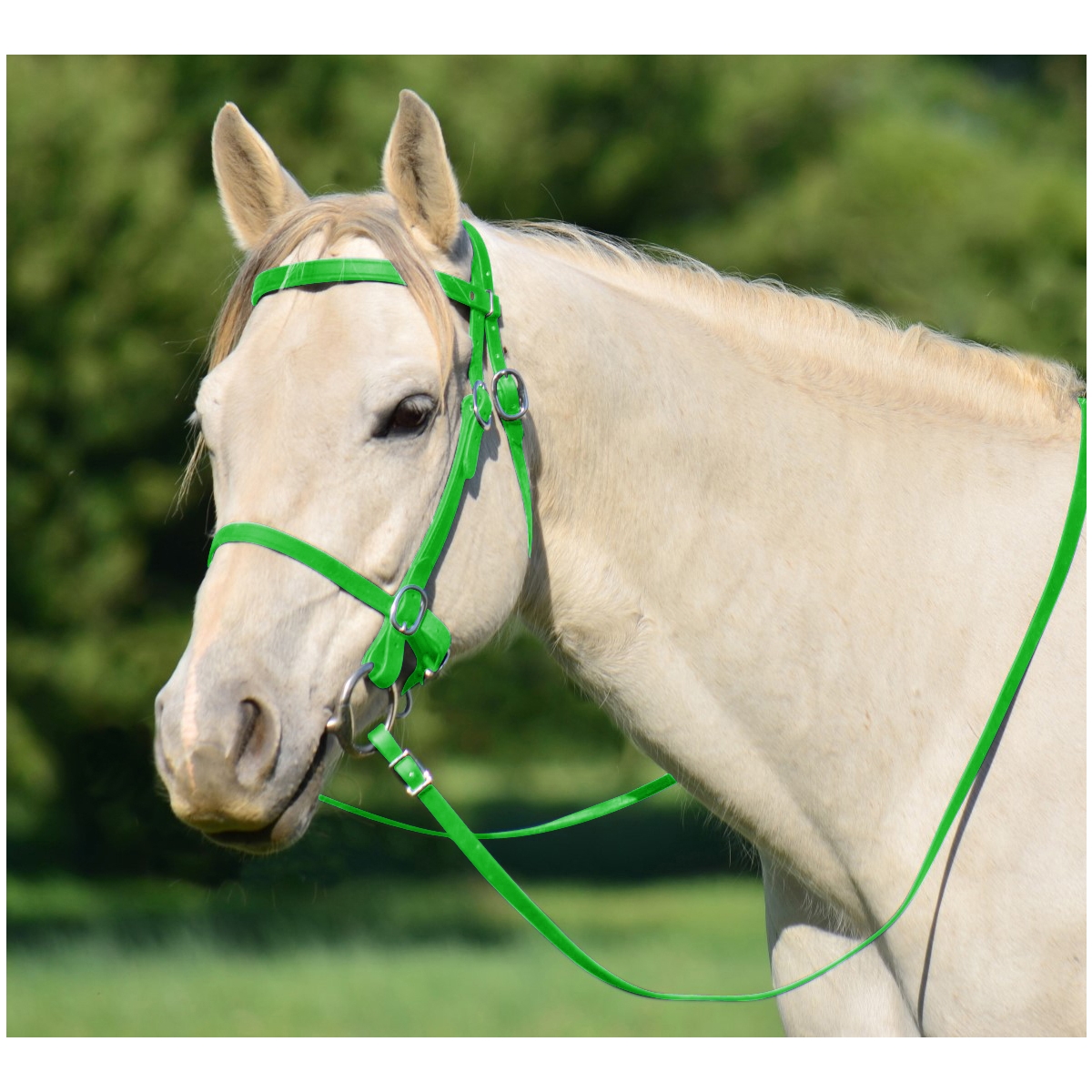 Halter Bridle for Horses - Two Horse Tack