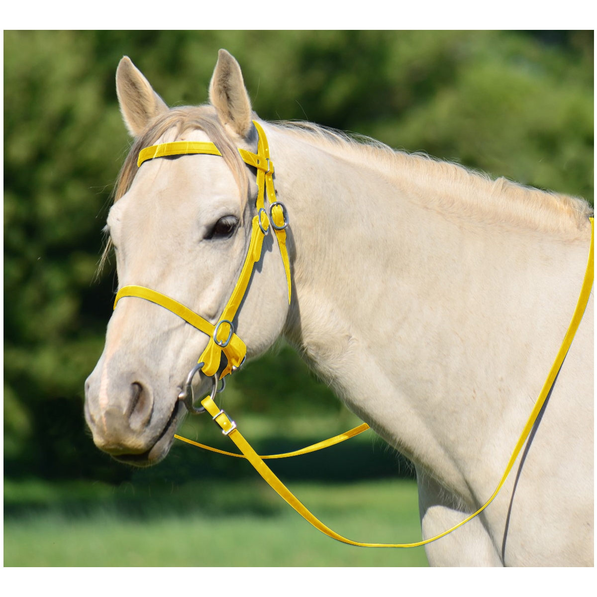 SUNFLOWER YELLOW PICNIC BRIDLE or SIMPLE HALTER BRIDLE made from Beta  Biothane