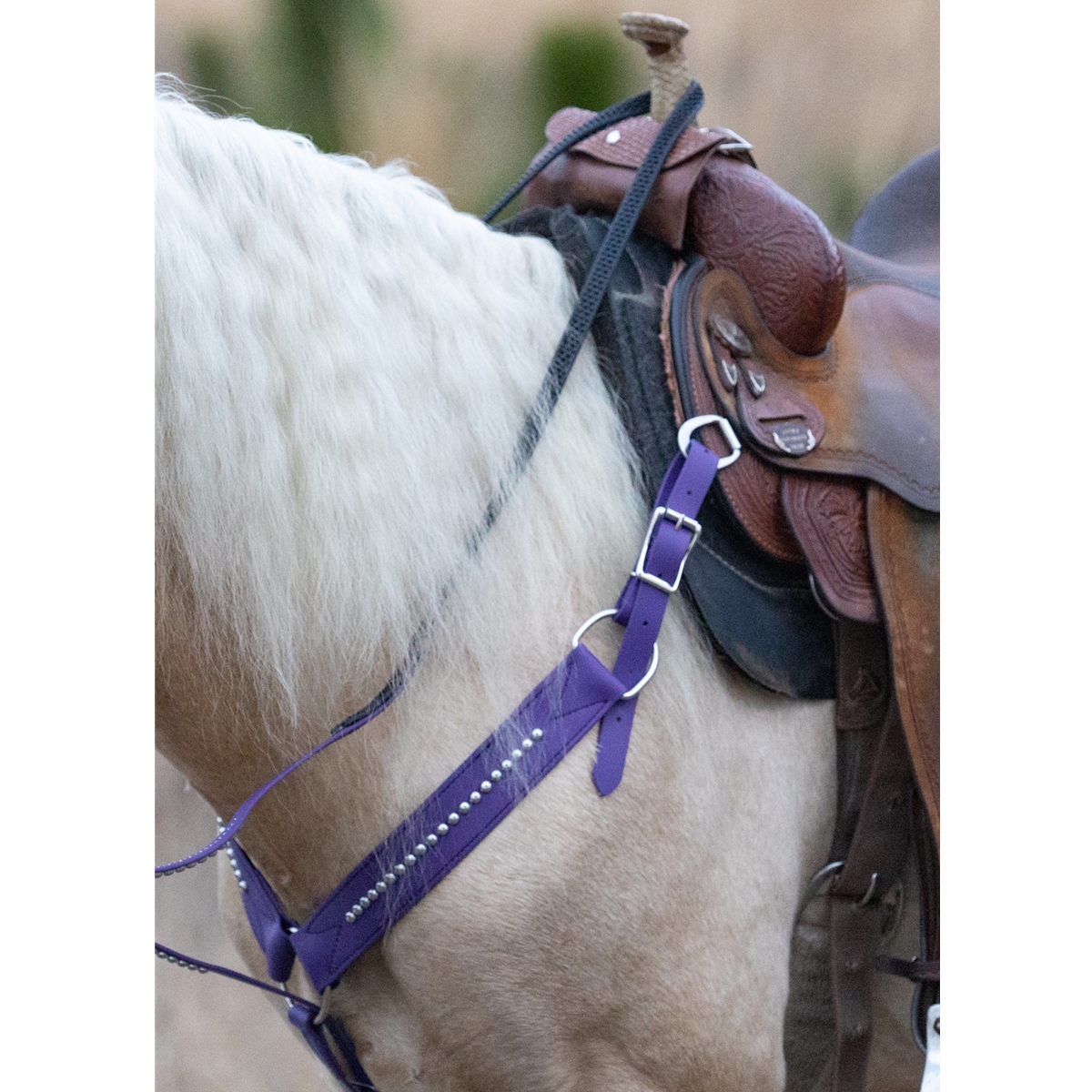Halter Snaps, Western Horse Tack Hardware, Saddlery Supplies