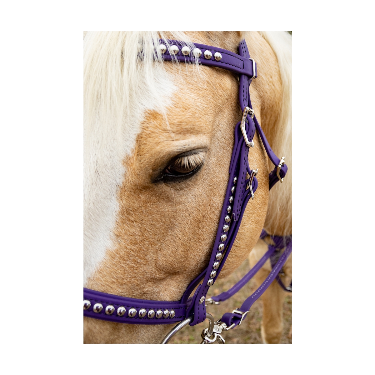Saddle Cloth – Bonnie Bridles