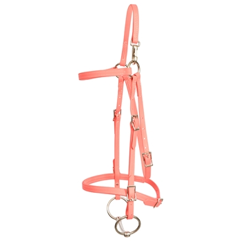 ****PHOTO SAMPLE*** $20 Coral Pink Beta Biothane Mule Headstall with Noseband - Standard Mule/Horse Size