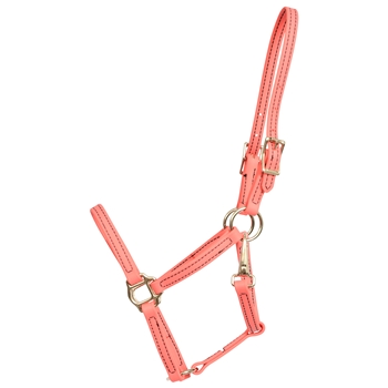 ****PHOTO SAMPLE*** $15 Coral Pink Beta Biothane Weanling/Small Pony Size Halter with Throatlatch Snap