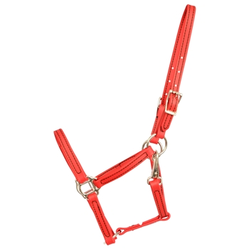 ****PHOTO SAMPLE*** $15 Red Beta Biothane Weanling/Small Pony Size Halter with Throatlatch Snap