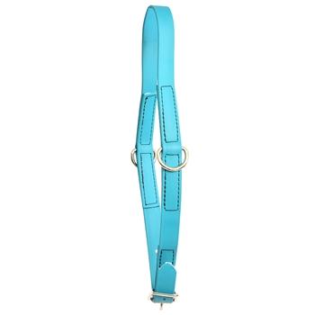 ****PHOTO SAMPLE*** $10 Aqua Blue Beta Biothane Grooming Neck Collar - Horse Size