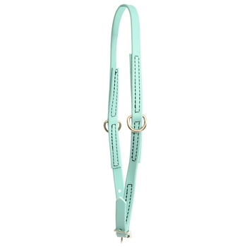 ****PHOTO SAMPLE*** $10 Dusty Turquoise Beta Biothane Grooming Neck Collar - Pony Size