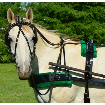 Great Deals on Biothane Driving Harness with Decorative Silver Studs